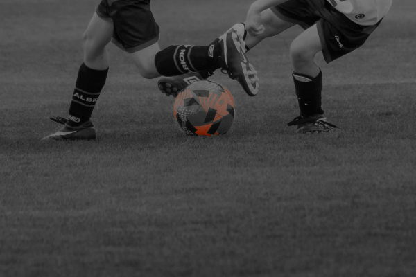 Nulla auctor commodo risus at congue