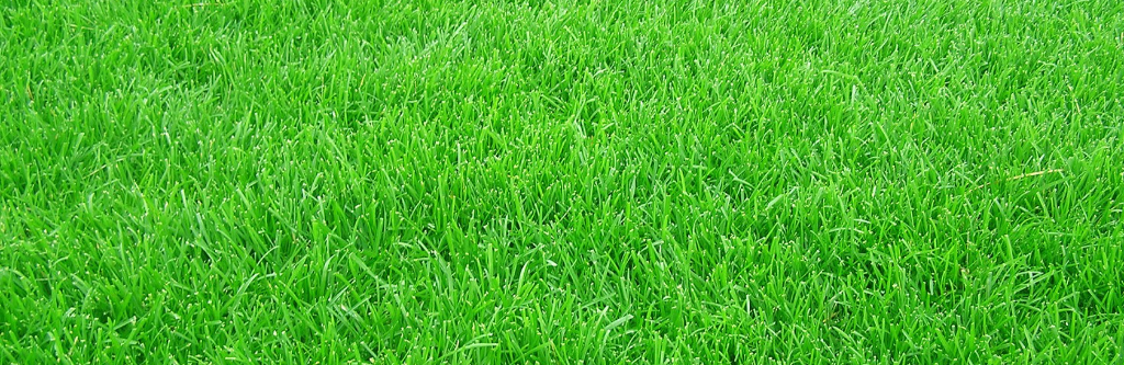 Athletic Cup 25-26.05.24